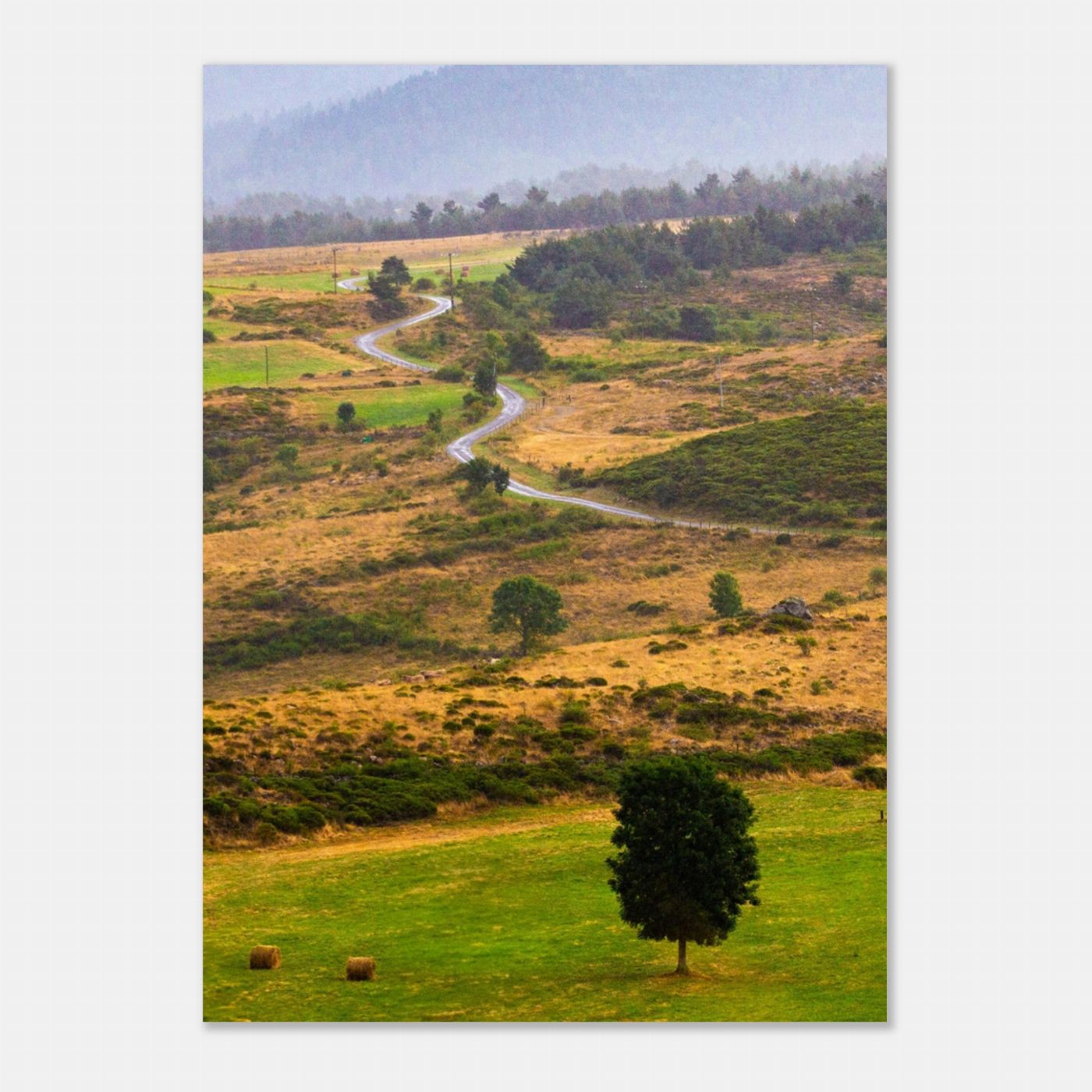 Affiche Automne en Cévennes